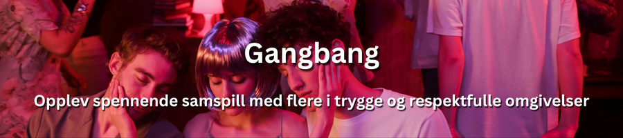 Organisert og respektfull flermannsopplevelse for voksne