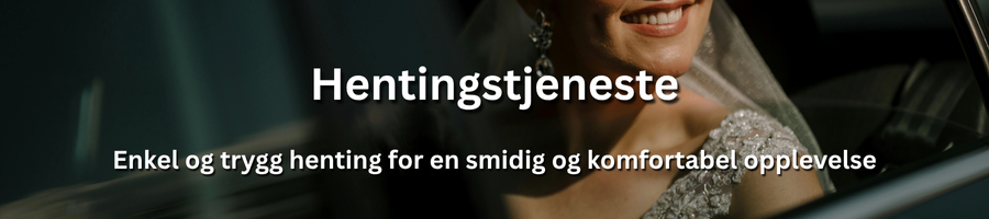 Profesjonell hentingstjeneste for trygg og komfortabel transport