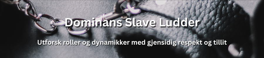 To voksne i en styrt og samtykkende opplevelse preget av dynamikk og respekt